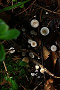 IMG_1322