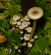 IMG_9636