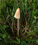 IMG_1605