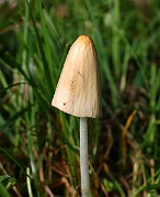IMG_1606