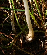 IMG_1608