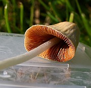 IMG_1612
