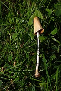 IMG_1615