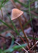 IMG_2371