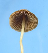 IMG_2374