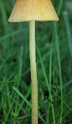 IMG_7823
