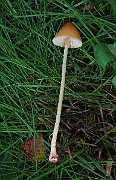 IMG_7828