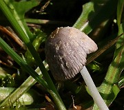IMG_0564