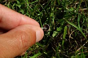 IMG_0565