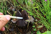 IMG_0436