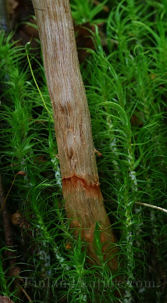 IMG_9216.JPG