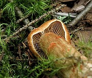 IMG_0048