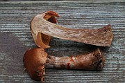 IMG_3802