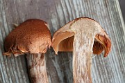 IMG_3803