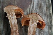 IMG_3804