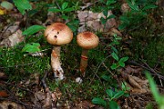 IMG_9185