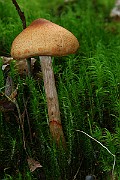 IMG_9214