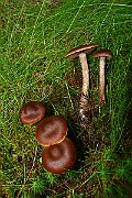 IMG_0880