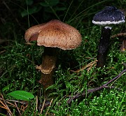 IMG_5892