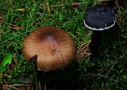 IMG_5895