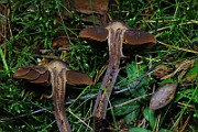 IMG_5901