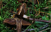 IMG_5902