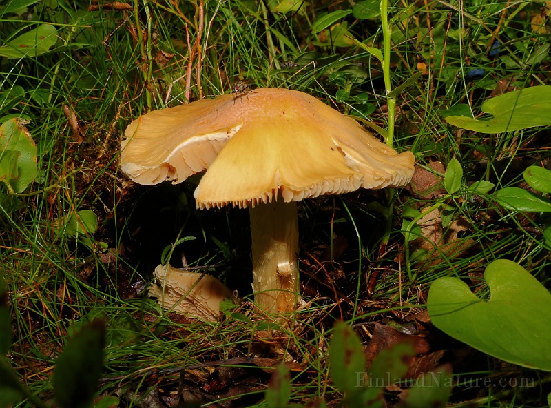 IMG_5940.JPG