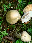 IMG_2030