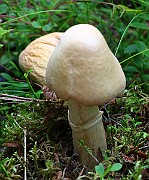IMG_2032