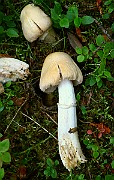 IMG_2033