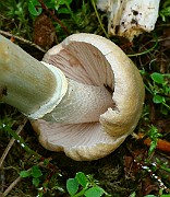 IMG_2035