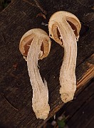 IMG_2724