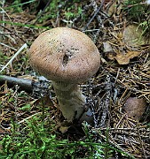 IMG_9911