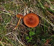 IMG_1030