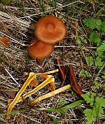 IMG_1031
