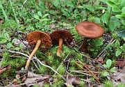 IMG_1580