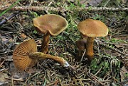 IMG_9892