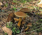 IMG_9895