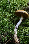 IMG_1067