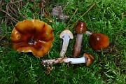 IMG_9366