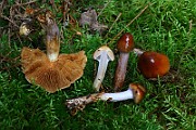 IMG_9367