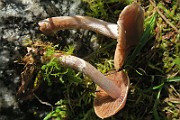 IMG_0346