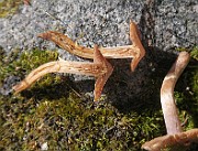 IMG_0349