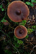 IMG_1190