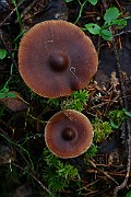 IMG_1191