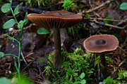 IMG_1193