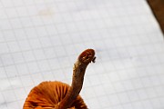 IMG_1335
