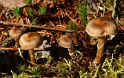 IMG_2405