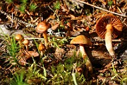 IMG_2406