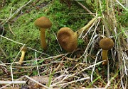IMG_0008